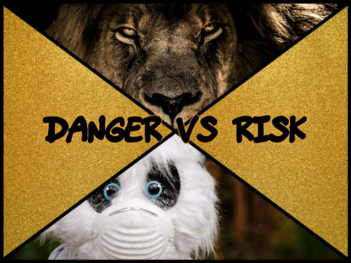 danger vs risk